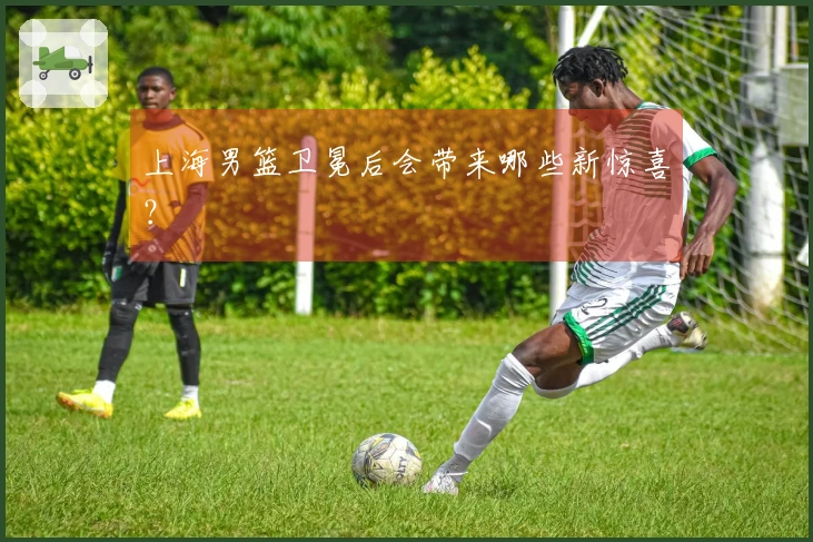 上海男篮卫冕后会带来哪些新惊喜？