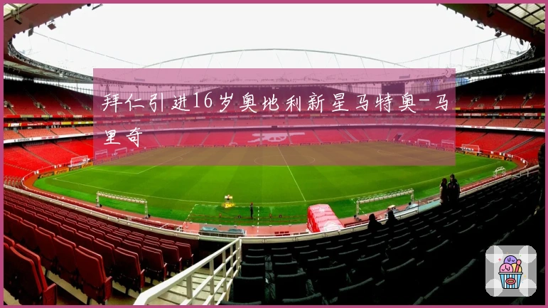 拜仁引进16岁奥地利新星马特奥-马里奇