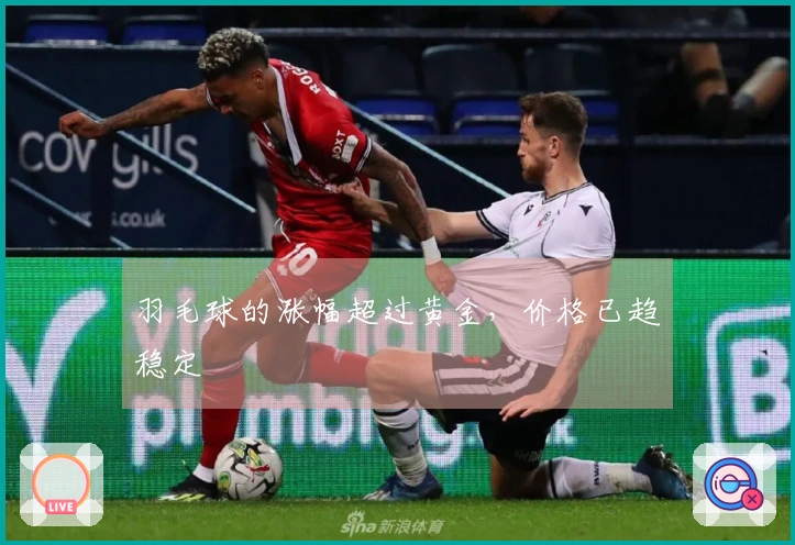 羽毛球的涨幅超过黄金，价格已趋稳定