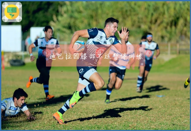 迪巴拉因膝部不适暂停训练